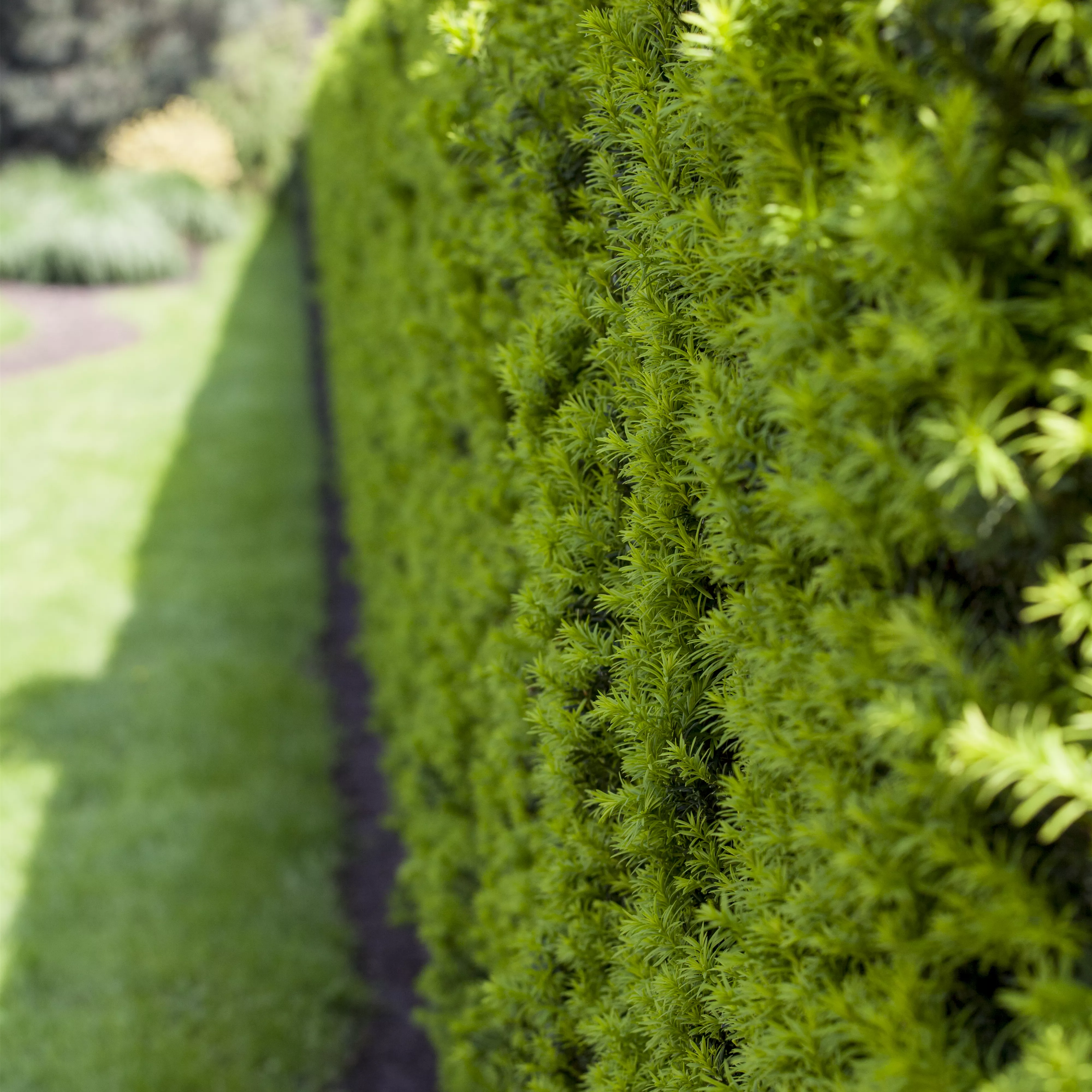 Gartenräume optimal gestalten
