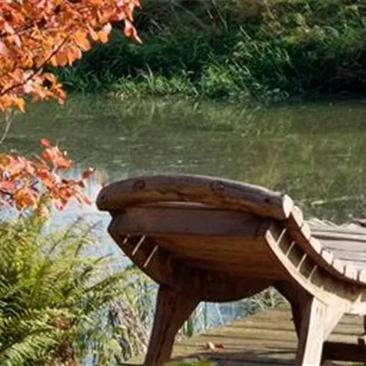 Pflanz den goldenen Herbst!