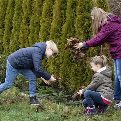 Winterschutz für Kübelpflanzen