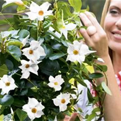 Gartenkalender Mai 2026