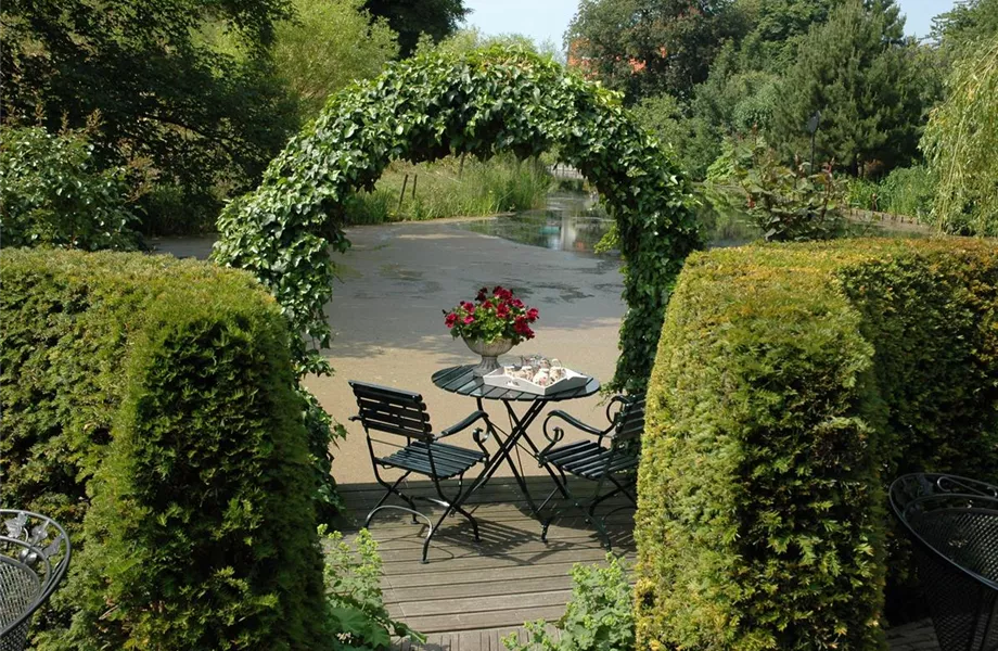 Auf die Form gekommen – Formgehölze im Garten