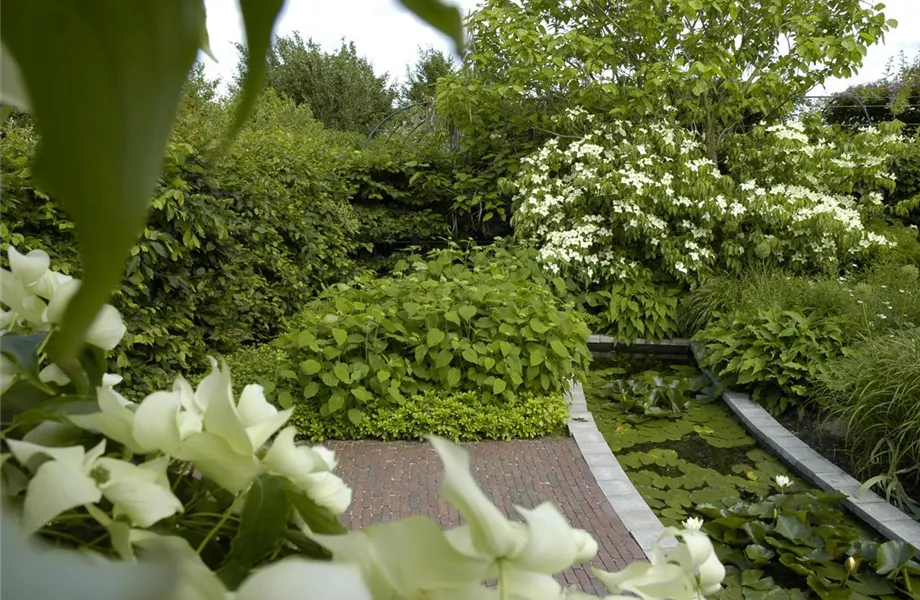 Garten easy going – so wird der Garten pflegeleicht